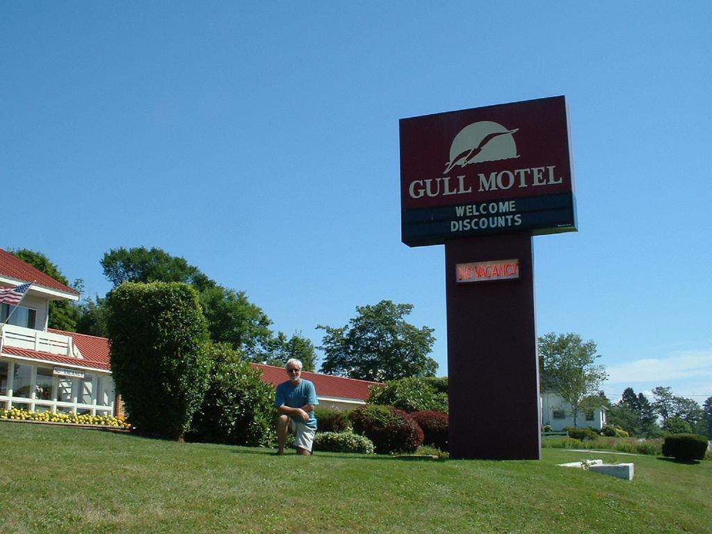 The Gull Motel, Белфаст Екстер'єр фото