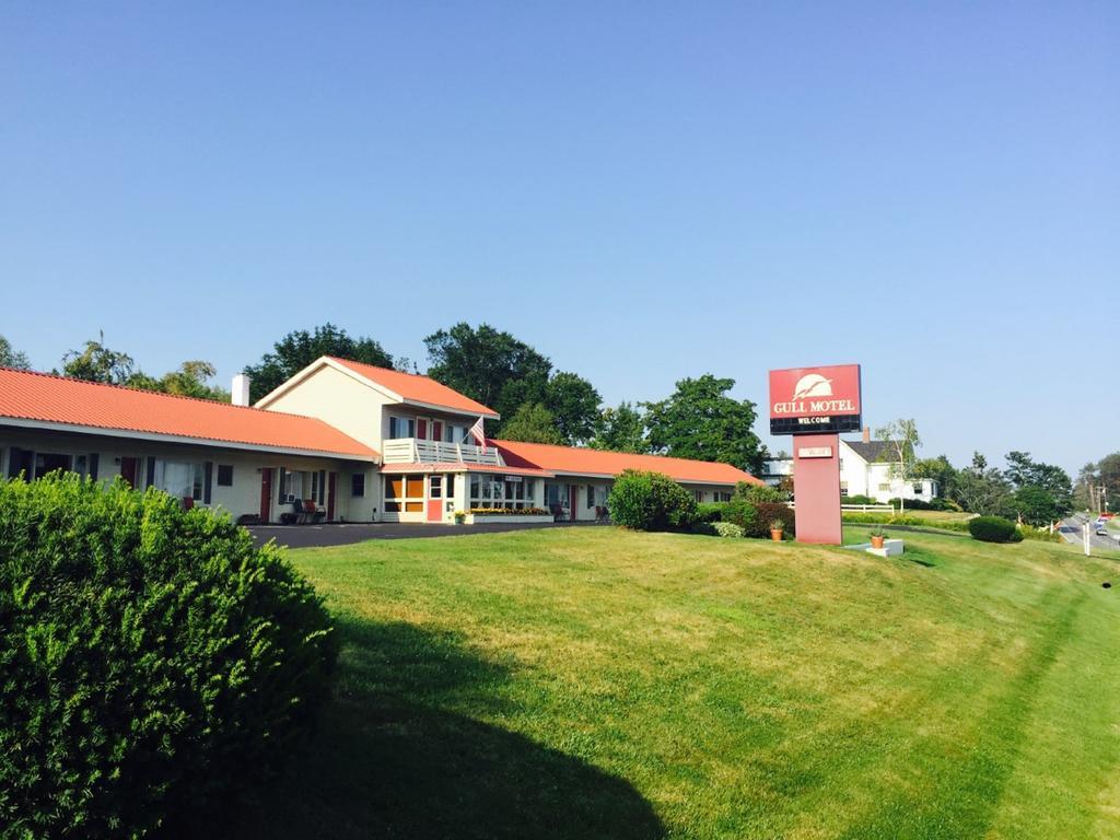 The Gull Motel, Белфаст Екстер'єр фото